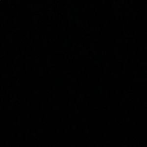 Meet your Posher, Constanza